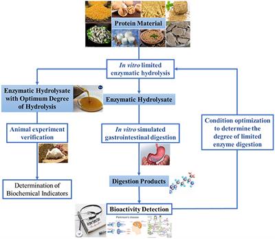 A Two-Stage Enzymolysis Method and Its Application in Exerting Antioxidant Activity of Walnut Protein